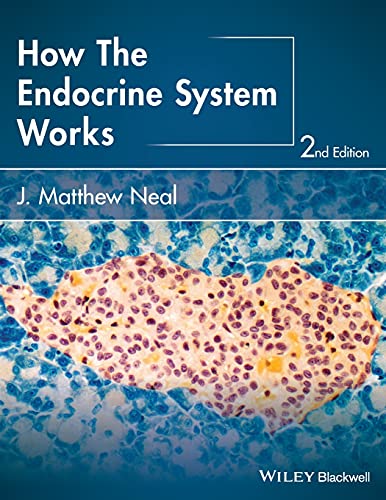 How the Endocrine System Works (How It Works)